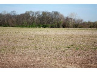 Property photo 8 - REAL ESTATE AUCTION - 486+/- ACRES OFFERED IN 9 TRACTS IN MORGAN & MARION COUNTIES, INDIANA